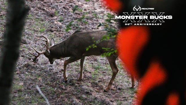 Kansas Giant at 15 Yards | Monster Bucks XXX
