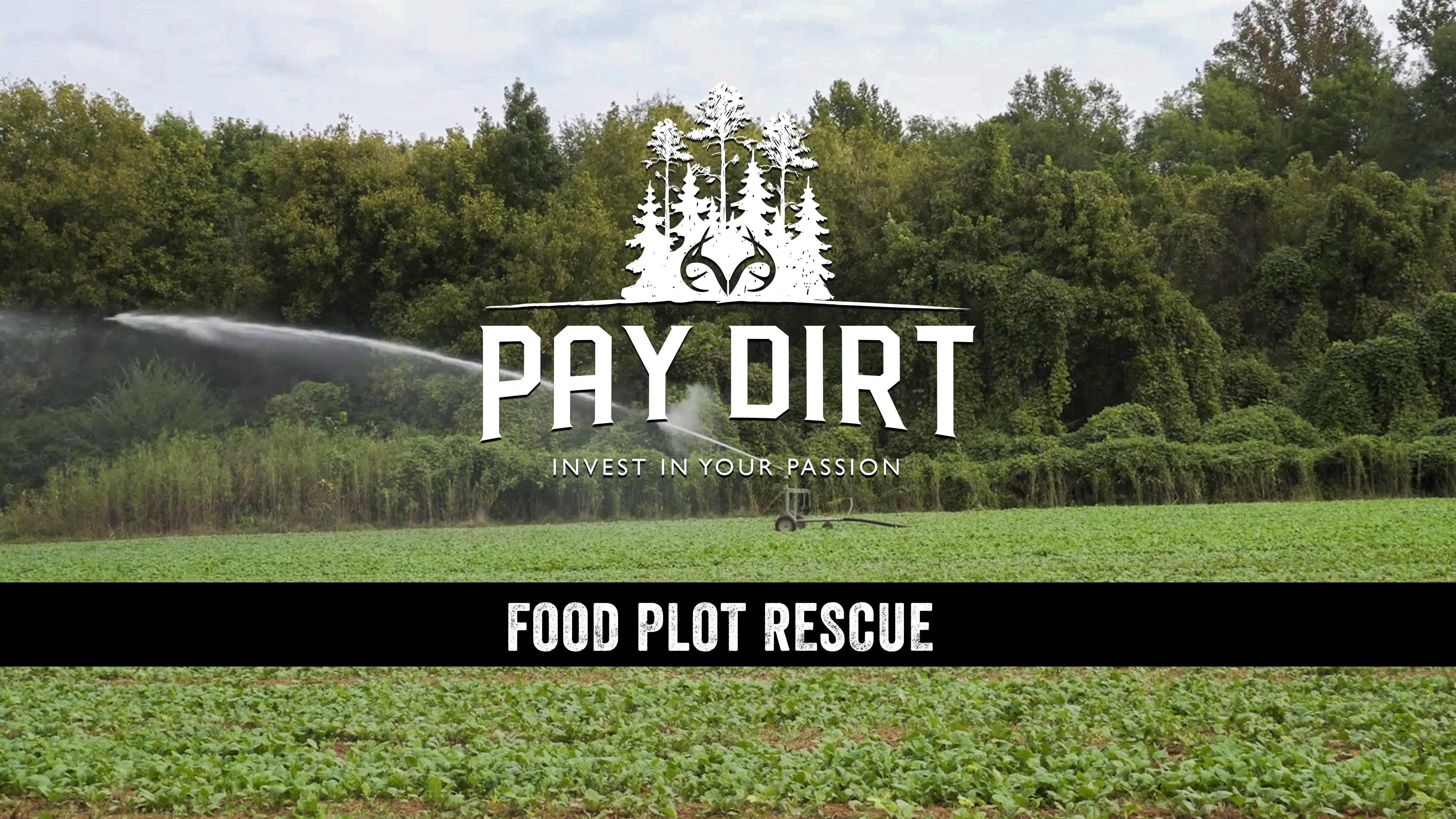 Dig Deeper: Saving Food Plots with Portable Irrigation