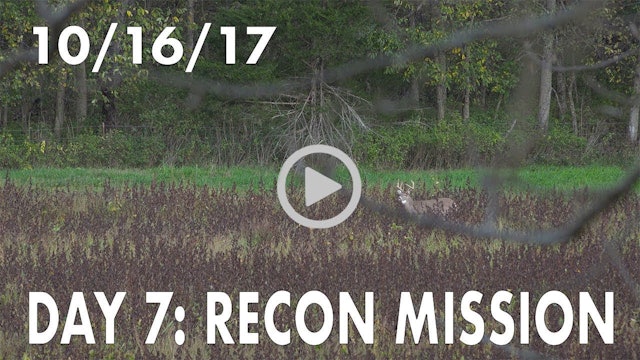 Winke Day 7: Recon Mission