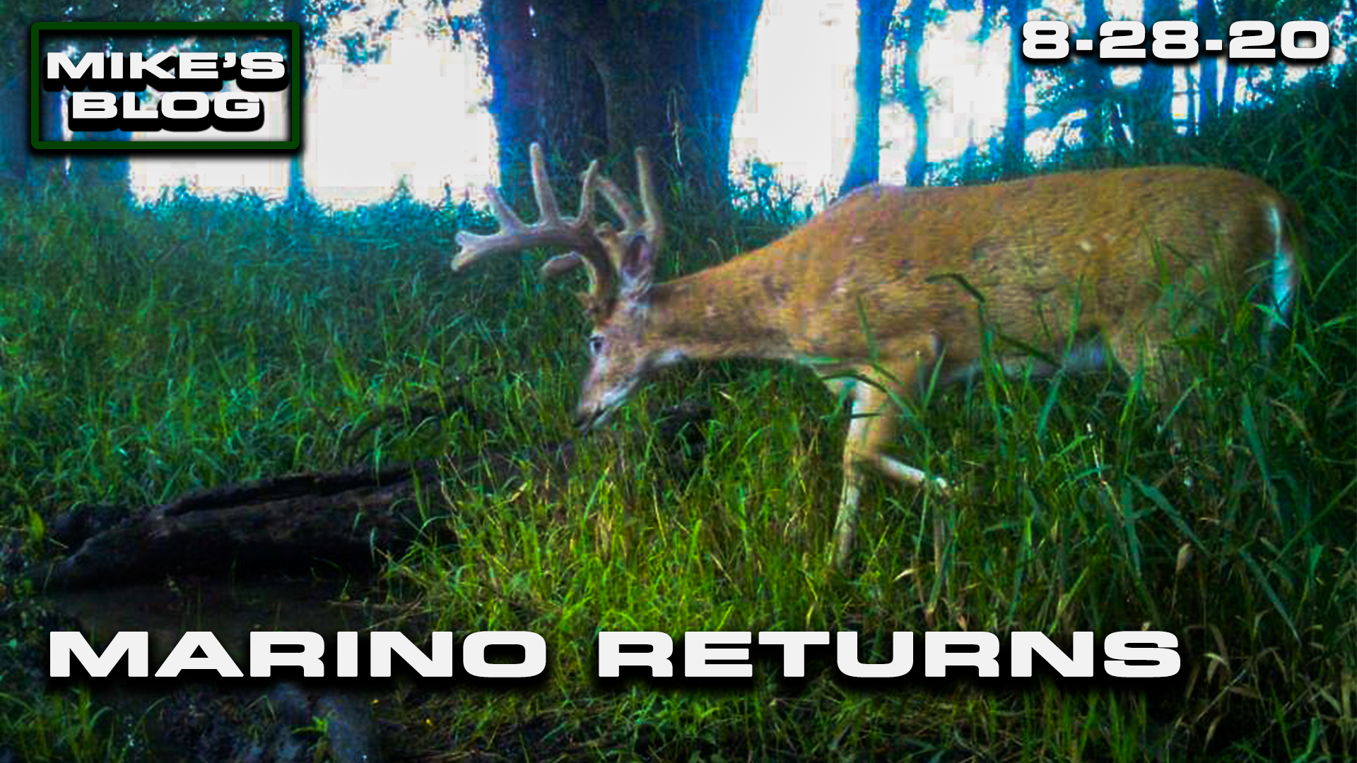 Mike's Blog: The Legendary Marino Returns | The Stage Is Set for Deer Season