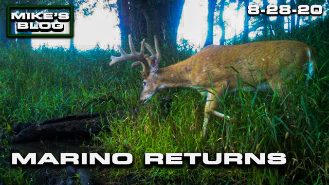 Mike's Blog: The Legendary Marino Returns | The Stage Is Set for Deer Season