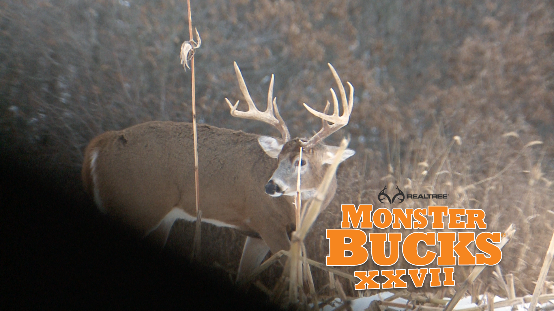Don Kisky's Self-Filmed Iowa Giant