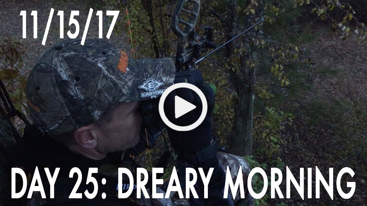 Winke Day 25: Dreary Morning