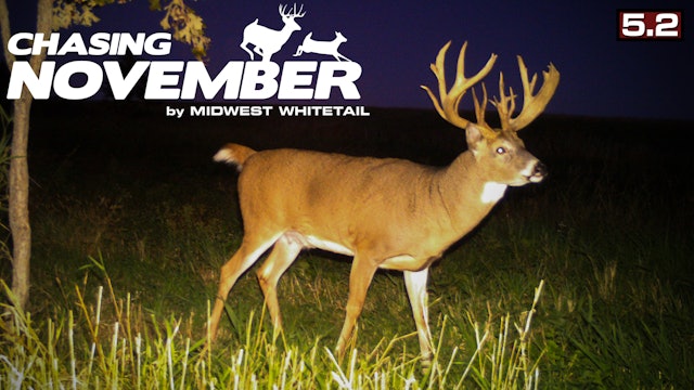 S5.E2. Giant Small-Tract Whitetail | Big Public-Land Buck | Chasing November