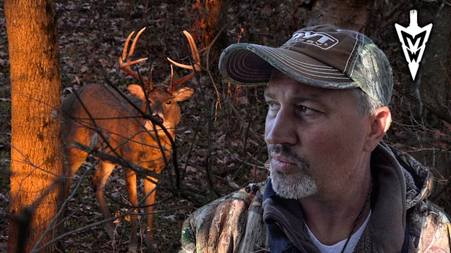 The Best Morning Treestands, The Bearcat Buck | Midwest Whitetail