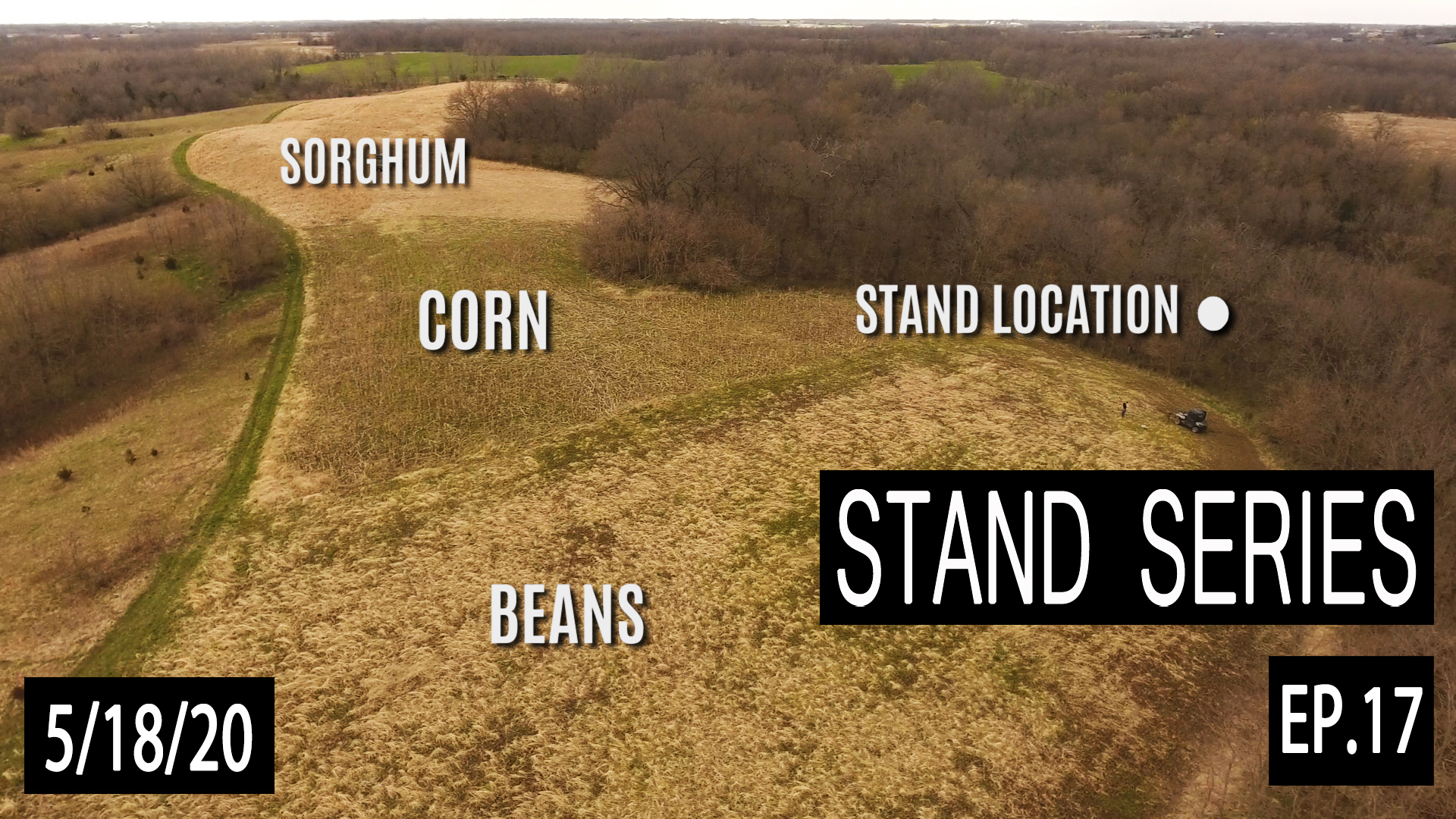 Typical Morning Rut Stand Breakdown | Bill Winke Treestand Location Series