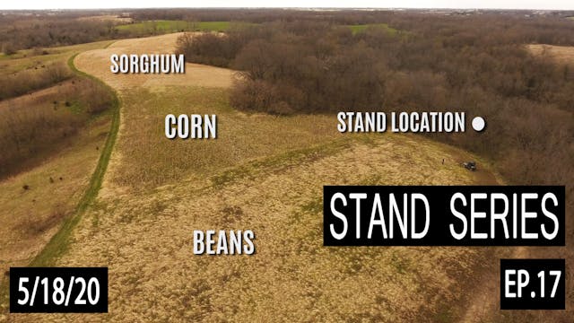 Typical Morning Rut Stand Breakdown |...