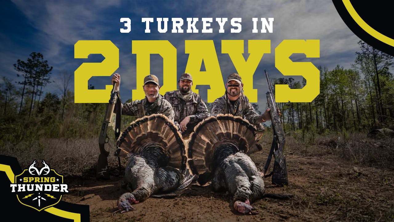 Hunting Alabama Turkeys Doubling on Early Season Gobblers Spring