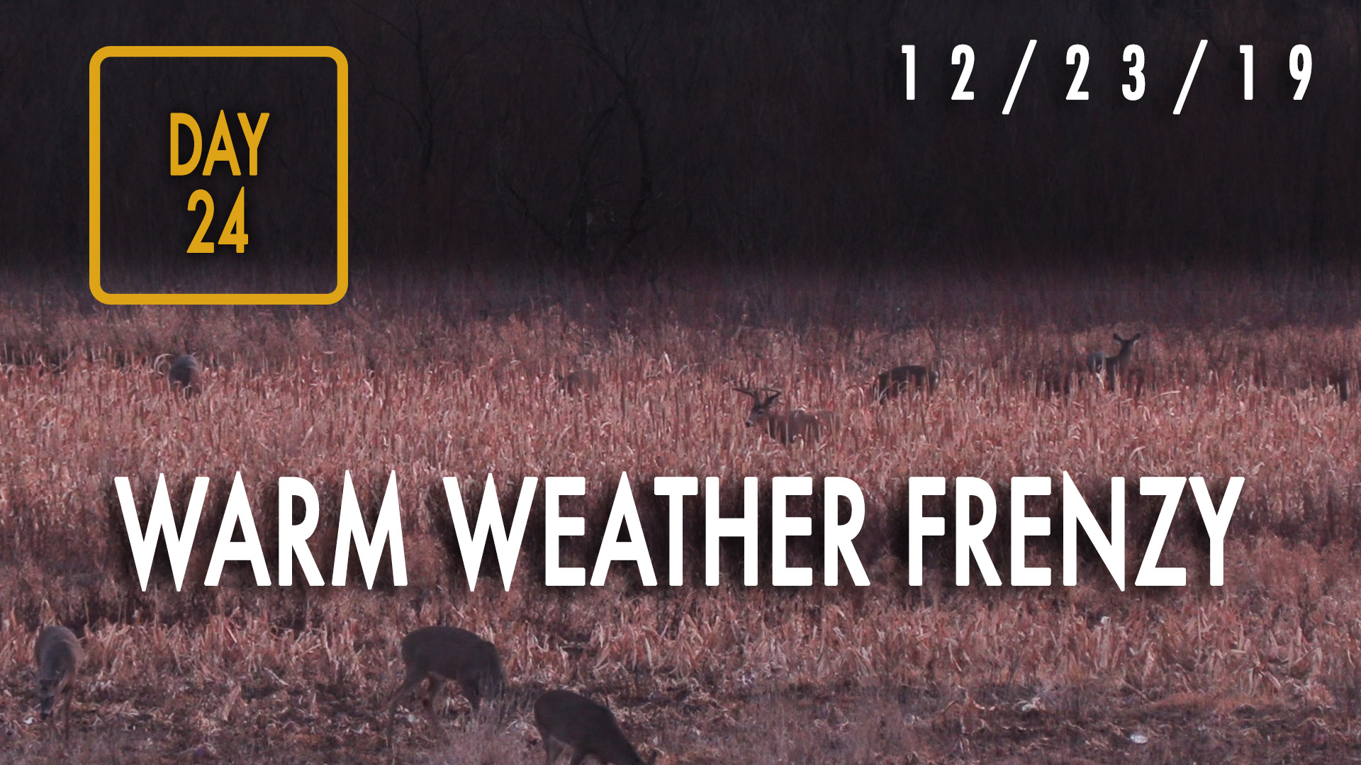 Jared Day 24: Warm-Weather, Late-Season Deer Hunting