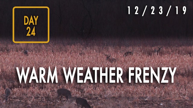 Jared Day 24: Warm-Weather, Late-Season Deer Hunting