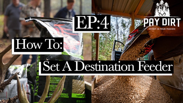How to Set a Destination Deer Feeder | PayDirt