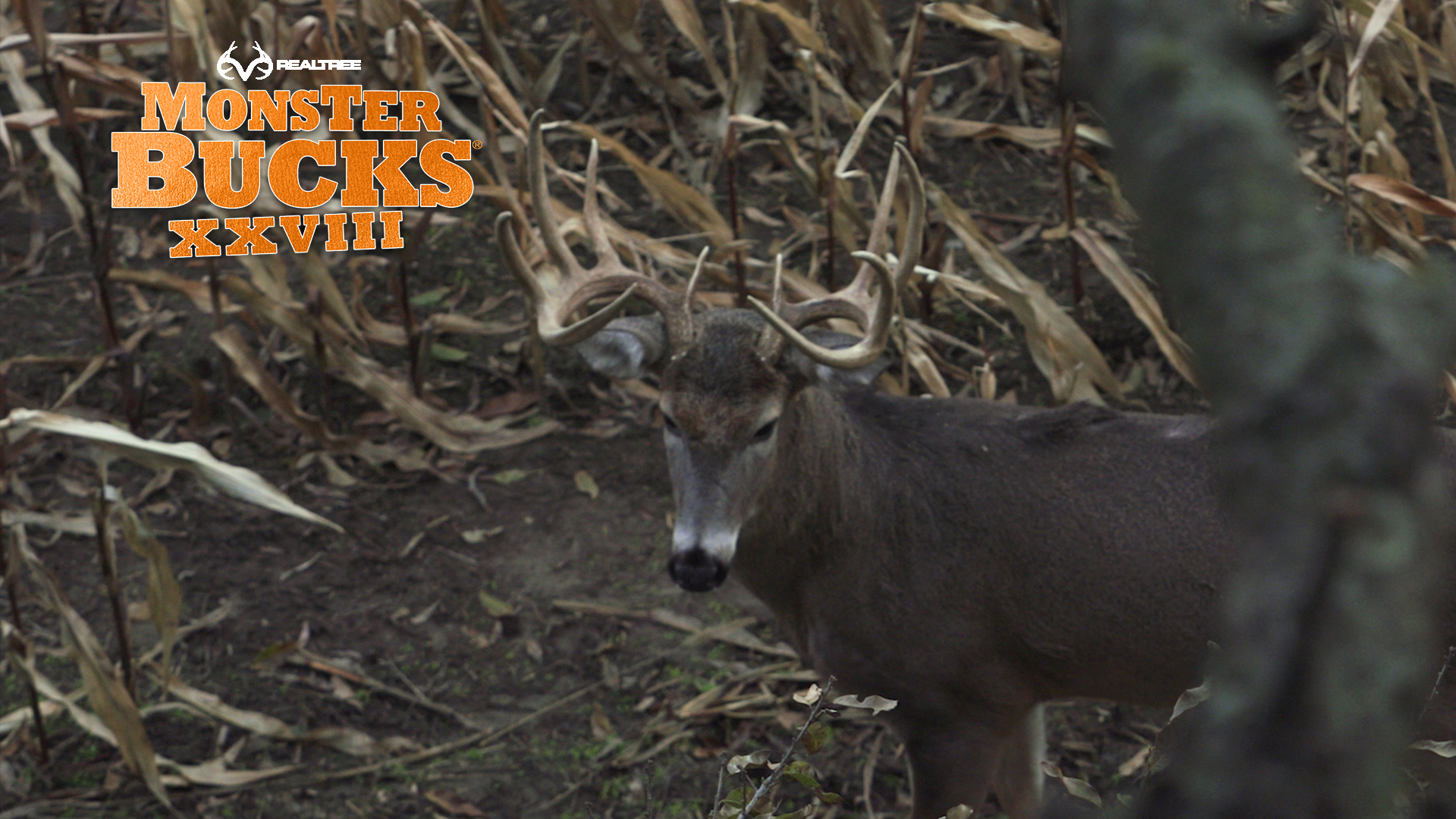Stephen McNelly's Big Iowa Typical | Realtree's Monster Bucks