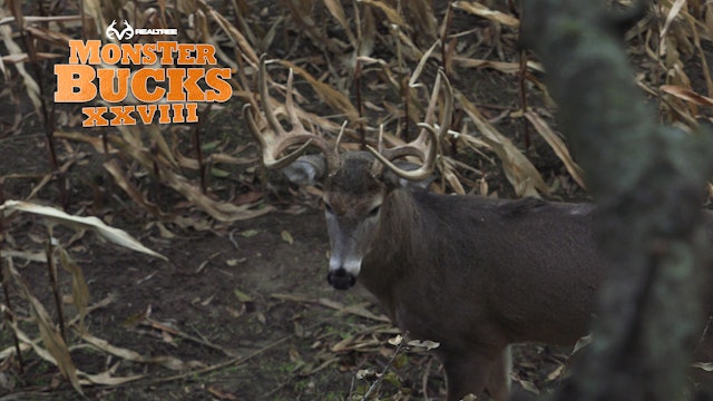 Stephen McNelly's Big Iowa Typical | Realtree's Monster Bucks