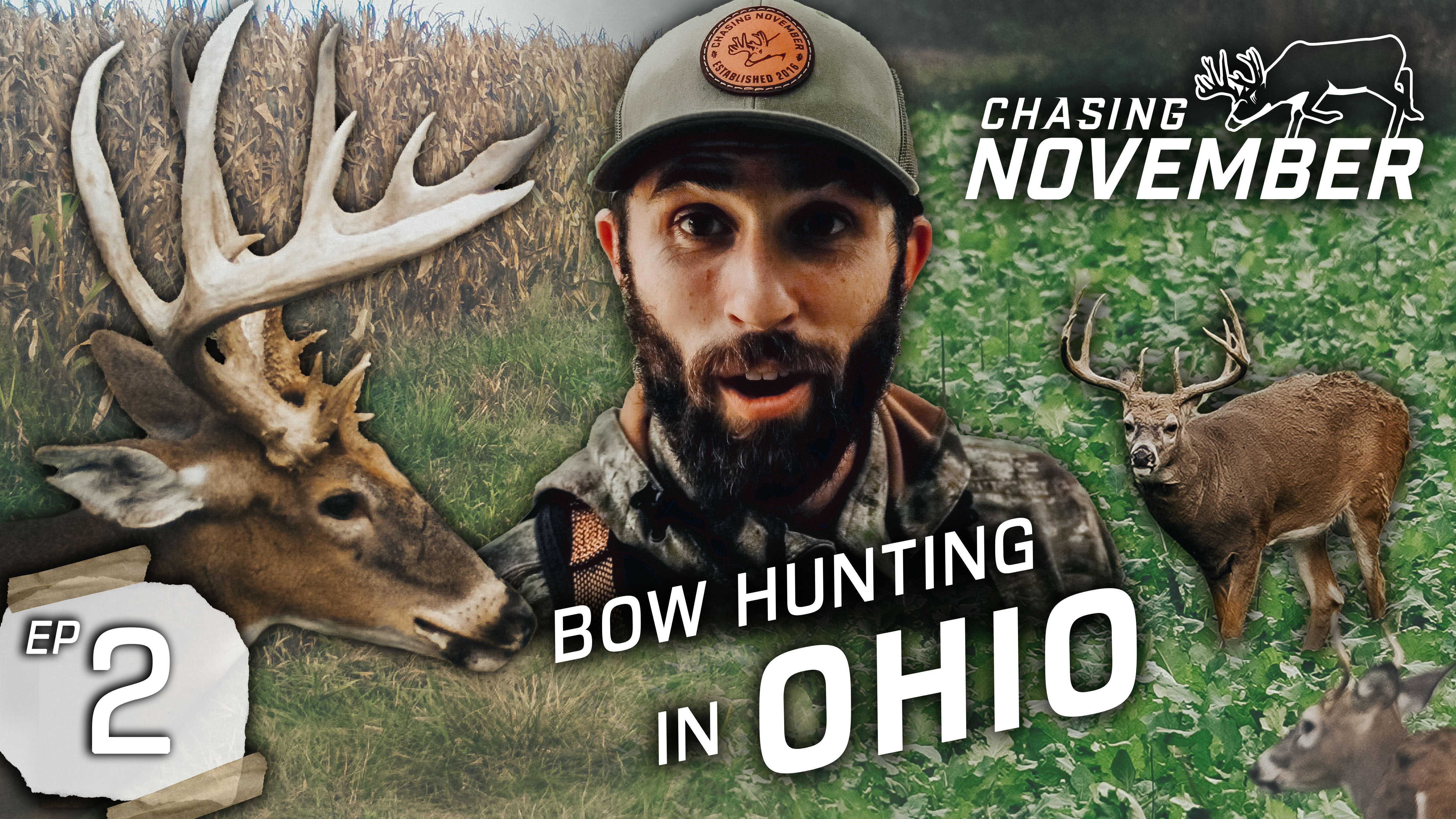 Fall Buck Shift Is In Full Swing, Speed Scouting For Early Bowhunting In Ohio