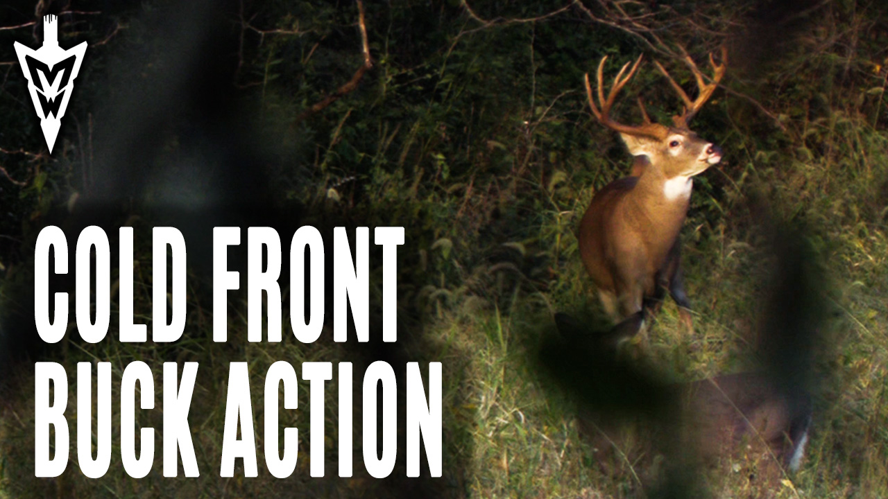 10-7-19: Cold Front Buck Action | Midwest Whitetail