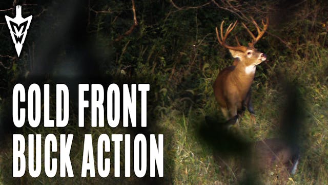 10-7-19: Cold Front Buck Action | Mid...