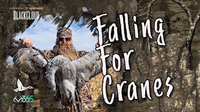 Falling for Sandhill Cranes | Hunting...