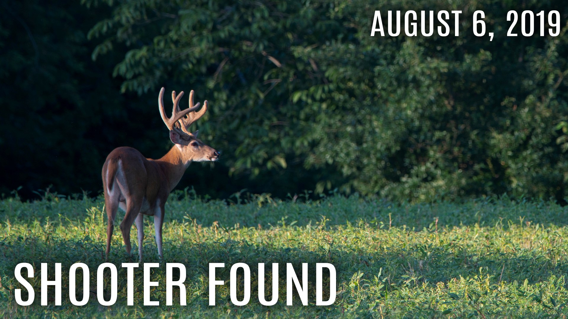 Winke's Blog: Big 8 Point Bucks, Shooter Found