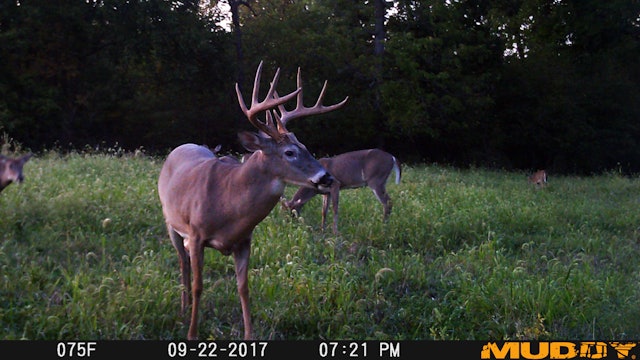 10-2-17: Killable Bucks, Hunting New Farms | Midwest Whitetail