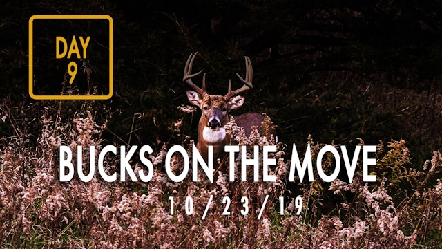 Jared Day 9: Bucks On The Move