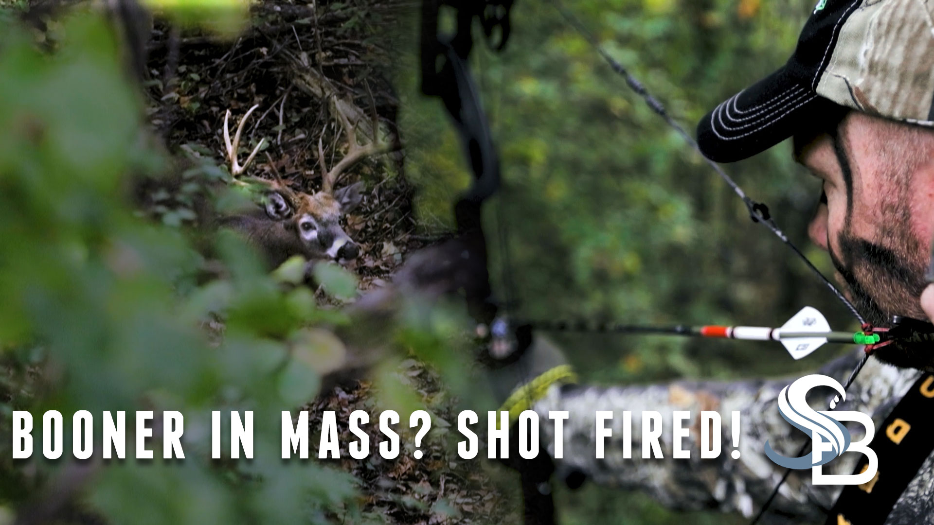 Giant Suburban Buck | Bowhunting Northeastern Deer Near Civilization | Sea Bucks