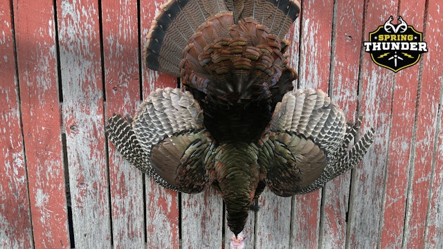 Tyler Jordan Hunts Alabama Opener | Onion Plot Gobbler | Spring Thunder