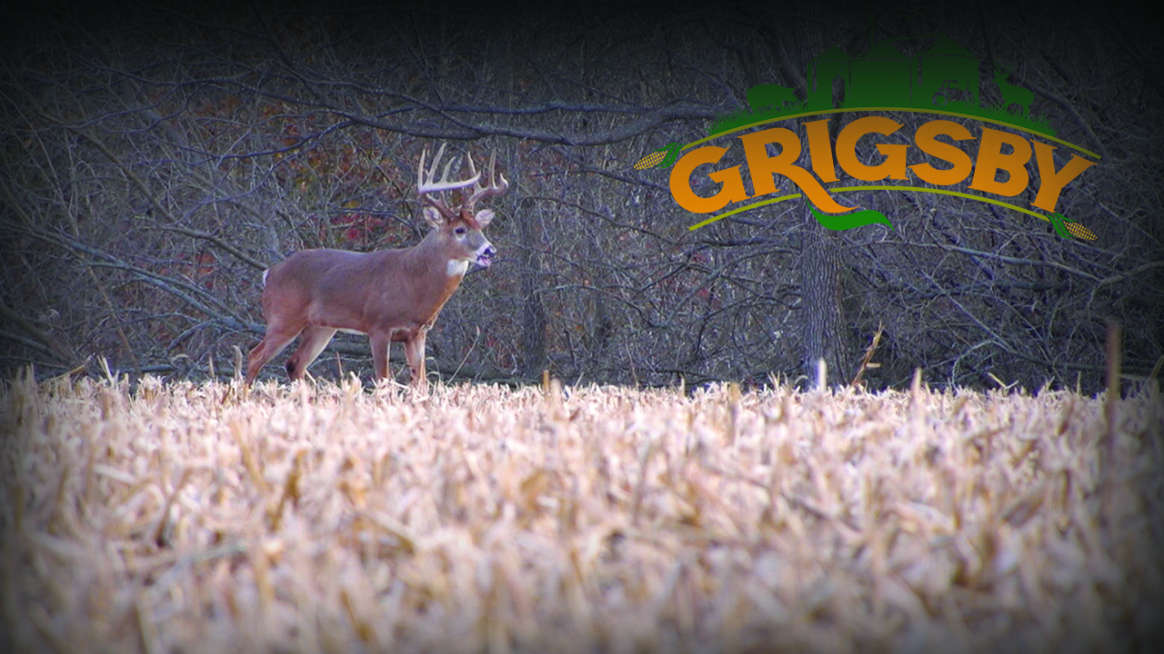 Shotgun Season Continues at The Grigsby | Grigsby
