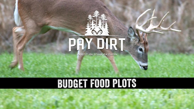 Poor Man's Food Plots, Plus Benefits of Auctions for Land Sales | Pay Dirt