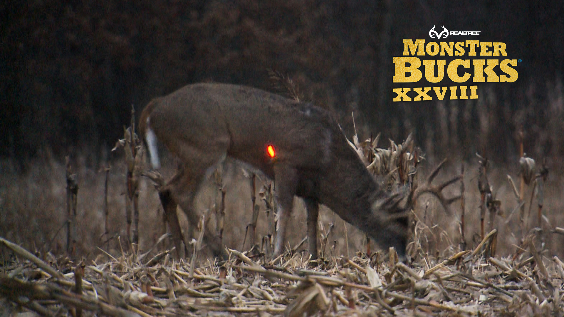 Don Kisky's Iowa Archery Buck | Realtree's Monster Bucks