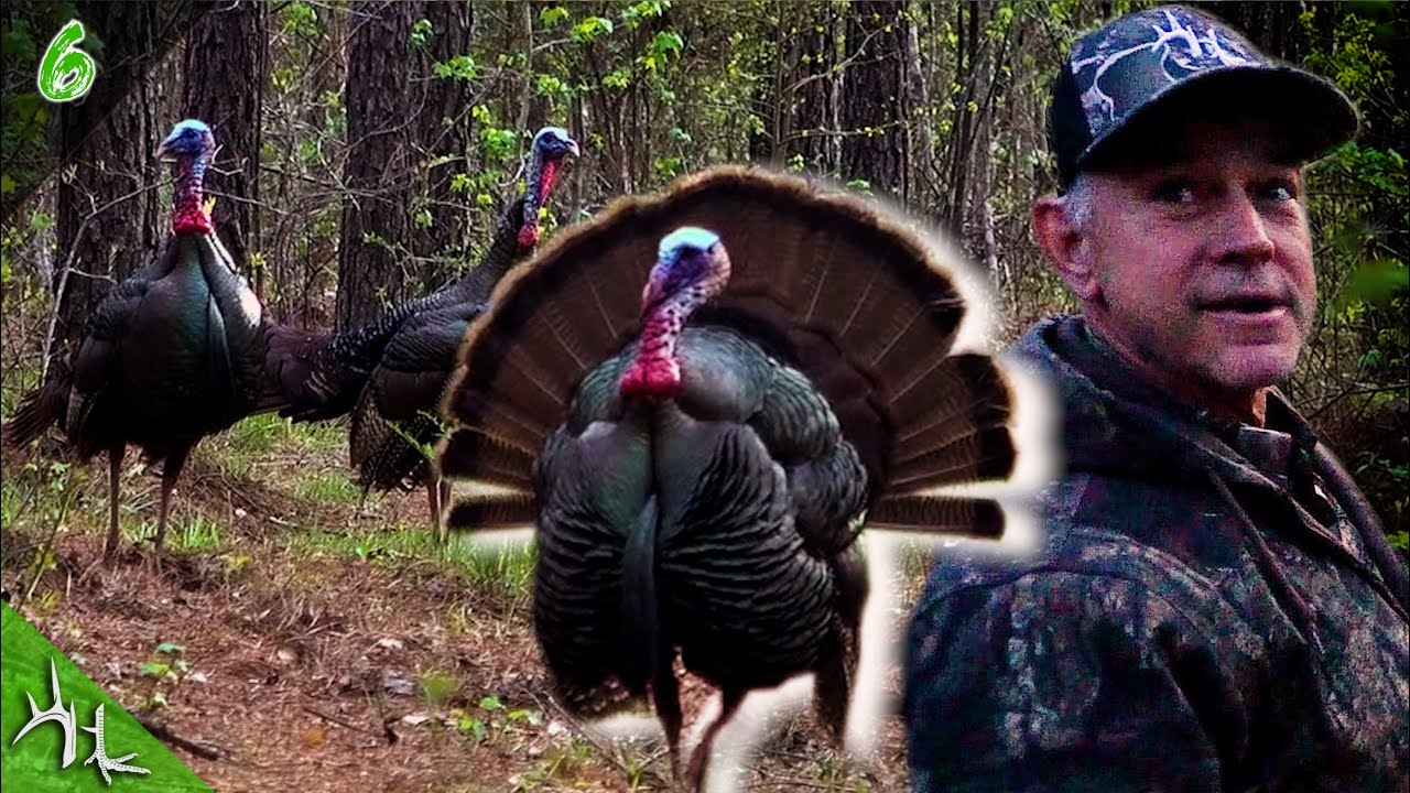 Georgia Turkey Hunting | Chasing Thunder with Skeeter | Hunt Club