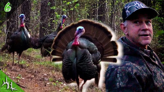 Georgia Turkey Hunting | Chasing Thun...