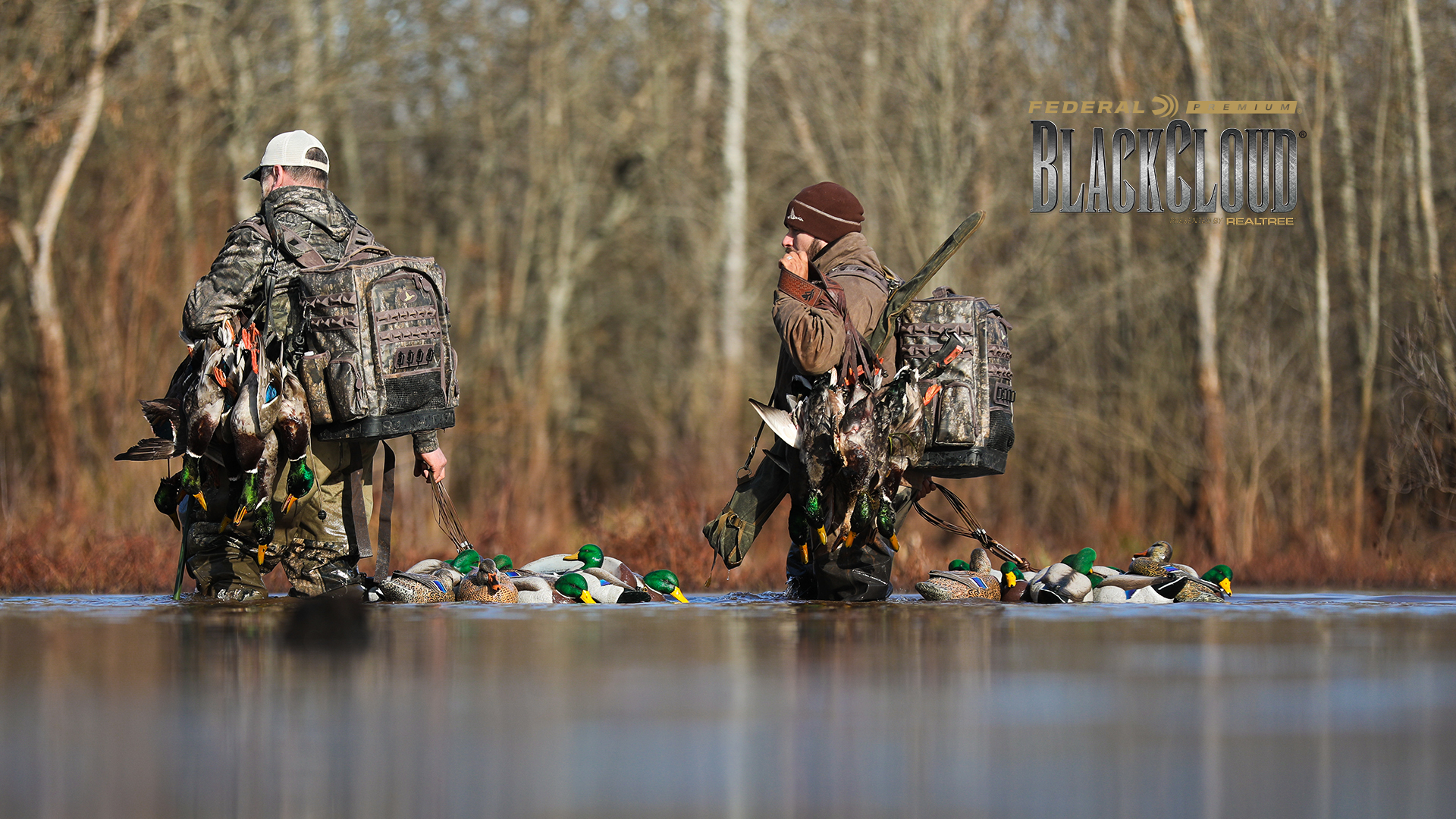 Back Down South | Mile Walks Into the Timber | Black Cloud