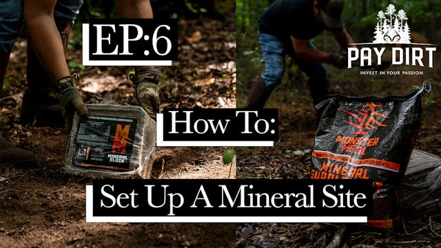How to Establish a Proper Mineral Sit...