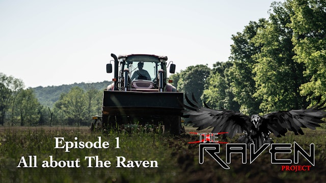 All About The Raven | The Raven Project
