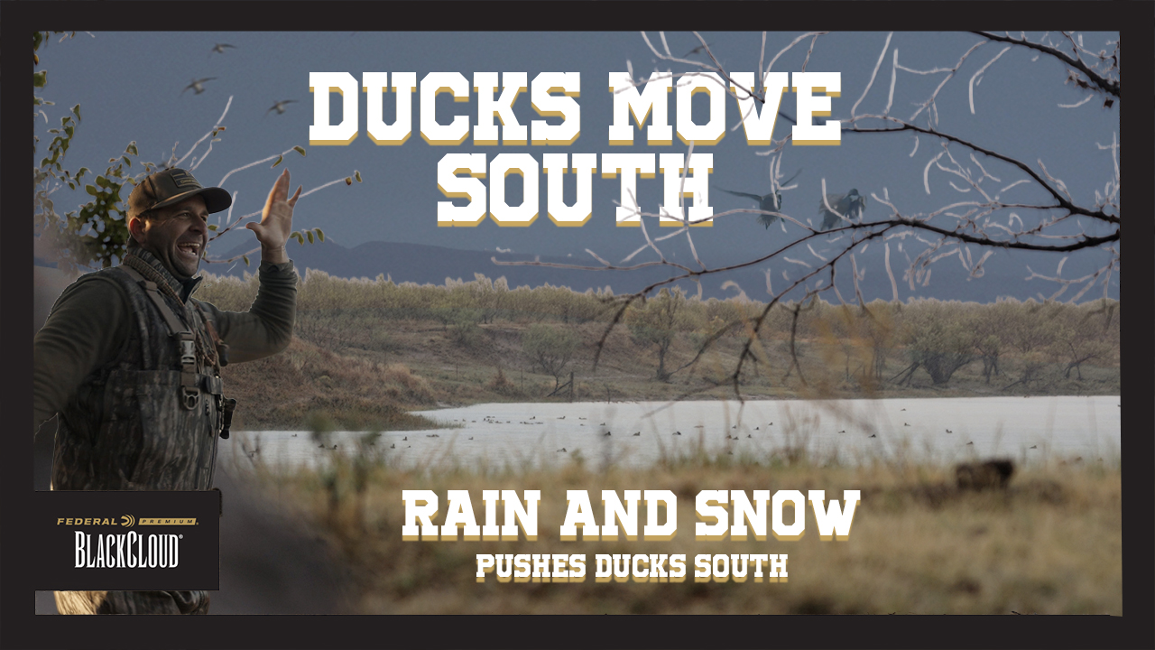 ICE and SNOW Push Ducks South | Duck Hunting Oklahoma | Black Cloud