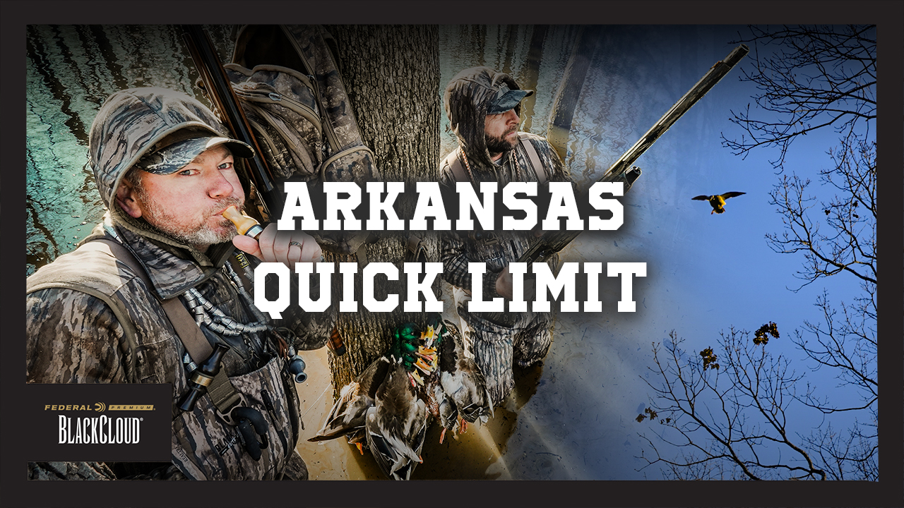 ARKANSAS Timber Mallards | Quick 3 Man Limit | Black Cloud