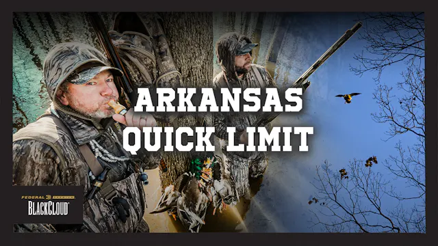 ARKANSAS Timber Mallards | Quick 3 Ma...