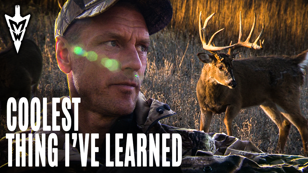 4-27-20: The Coolest Thing I’ve Learned About Whitetails | Midwest Whitetail