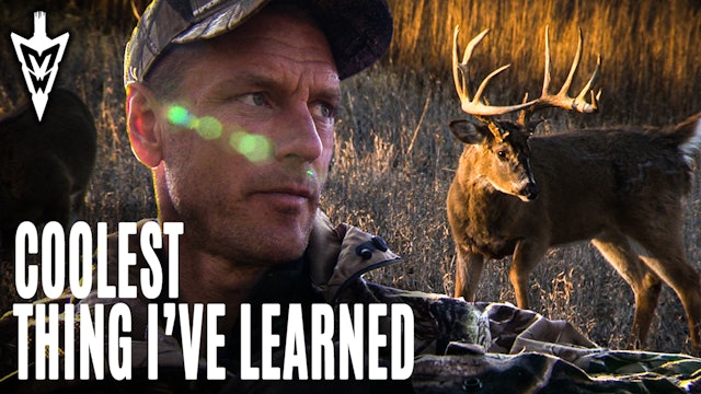 4-27-20: The Coolest Thing I’ve Learned About Whitetails | Midwest Whitetail