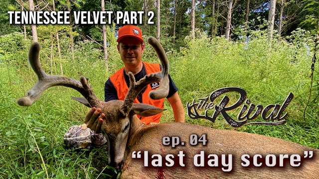 Tennessee Velvet Hunt (Part 2) | Filling Tags and Having Fun | The Rival