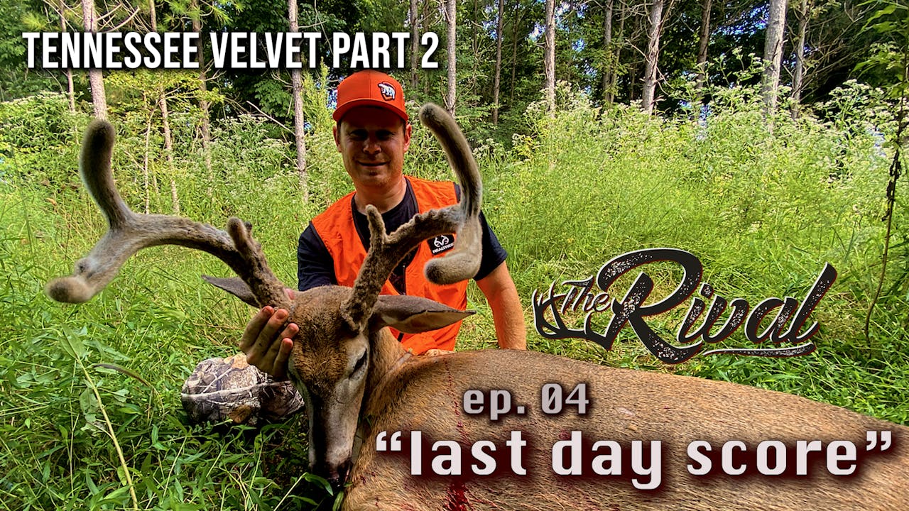 Tennessee Velvet Hunt (Part 2) Filling Tags and Having Fun The