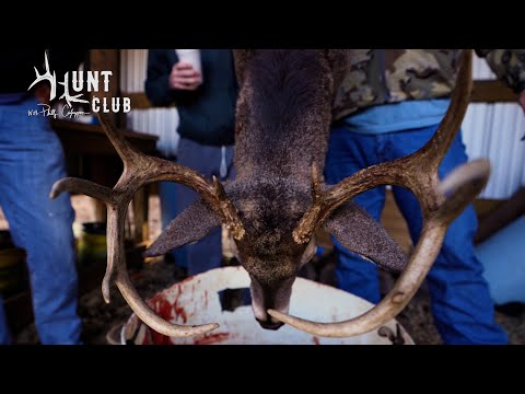 Last-Day Buck | Meat in the Freezer | Hunt Club