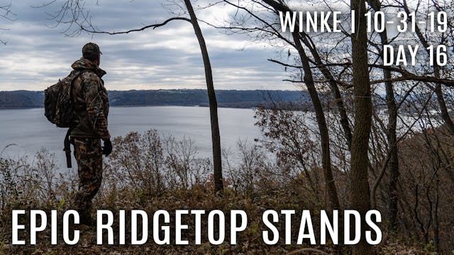 Winke Day 16: Epic Ridge Top Stands