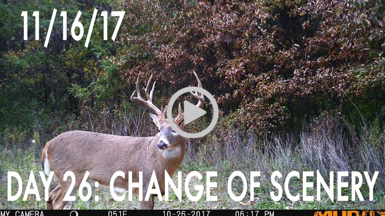 Winke Day 26: Change Of Scenery