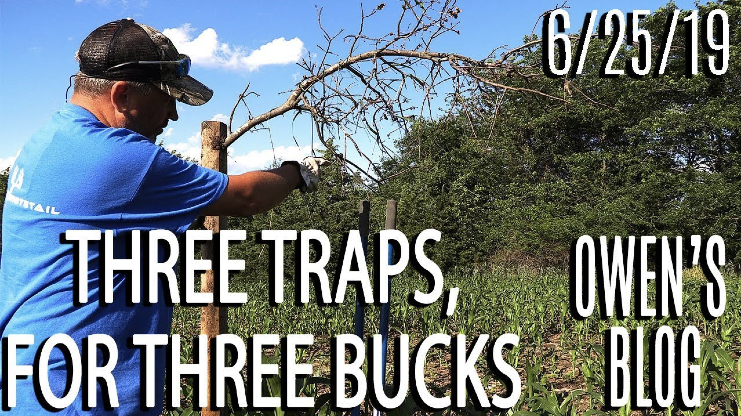 Owen's Blog: Three Traps for Three Bucks
