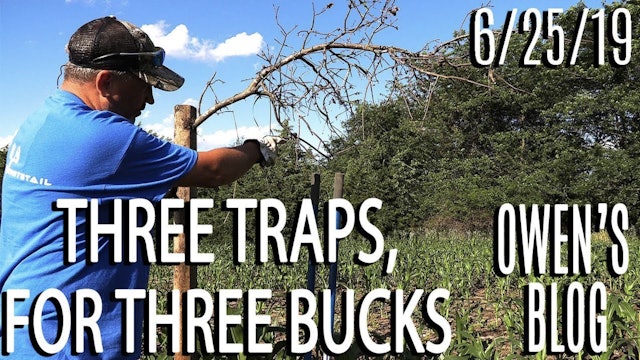 Owen's Blog: Three Traps for Three Bucks