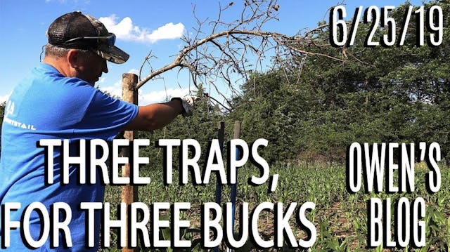 Owen's Blog: Three Traps for Three Bucks