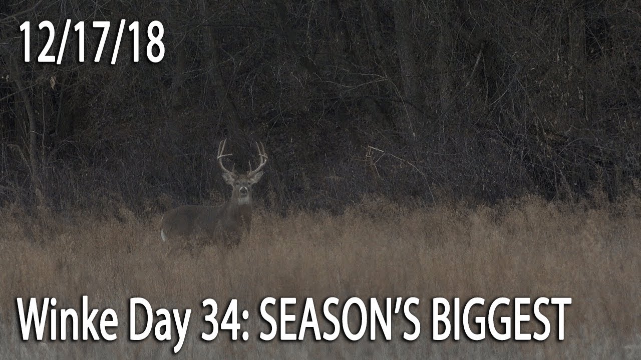 Winke Day 34: Season's Biggest