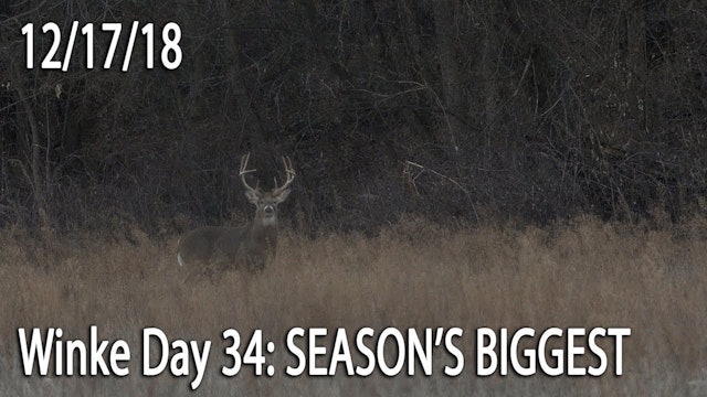 Winke Day 34: Season's Biggest