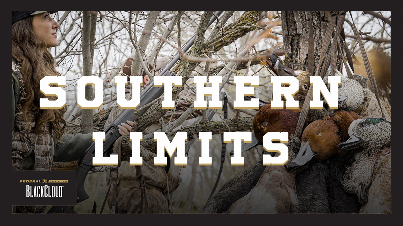 Ducks Down South | Quick Limit Ahead of the Coldfront | Black Cloud